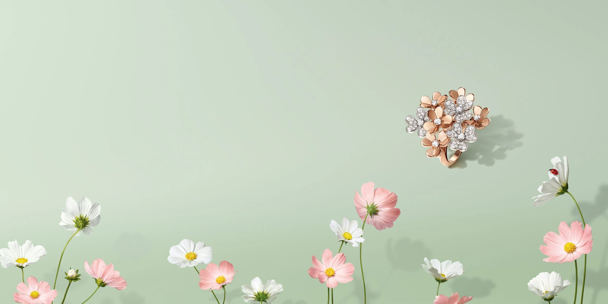 van-cleef-arpels-frivole-2024-cover-mineure-desktop-4000-2000.jpg.transform.vca-w2560-1x
